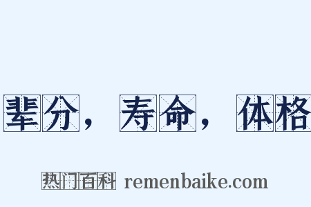 辈分，寿命，体格是什么意思的图片